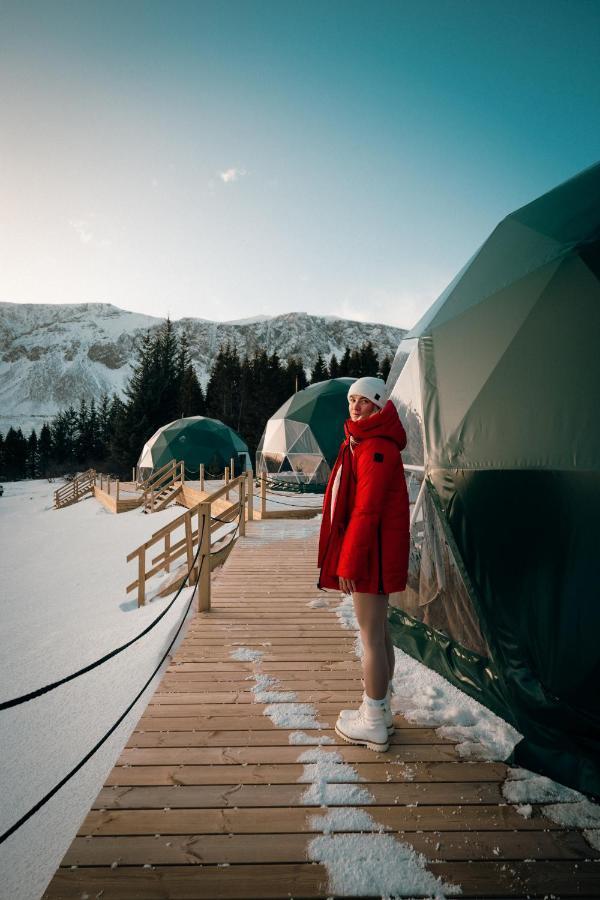 Golden Circle Domes - Glamping Experience Hotel Selfoss Exterior photo